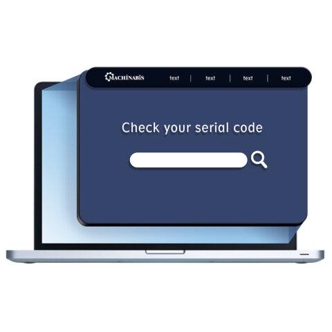 Website Building